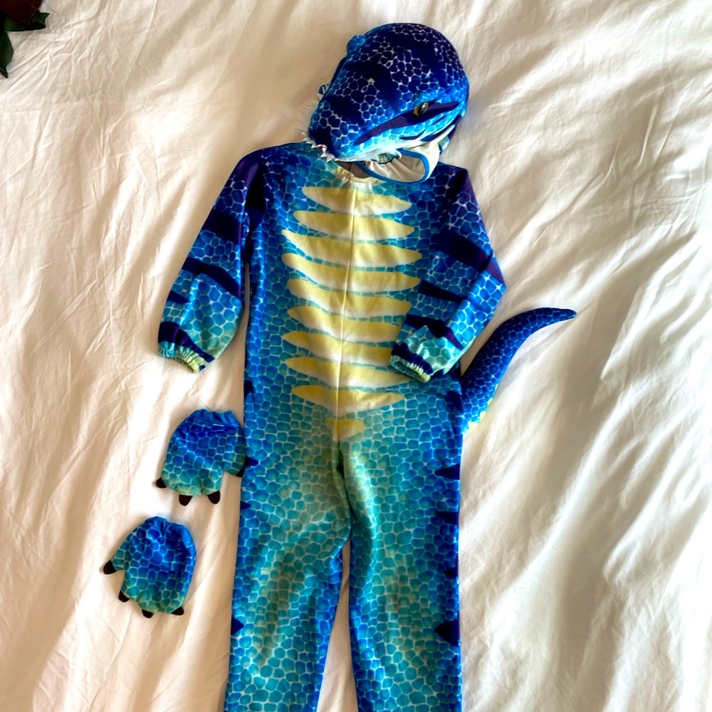 Dinosaur costume